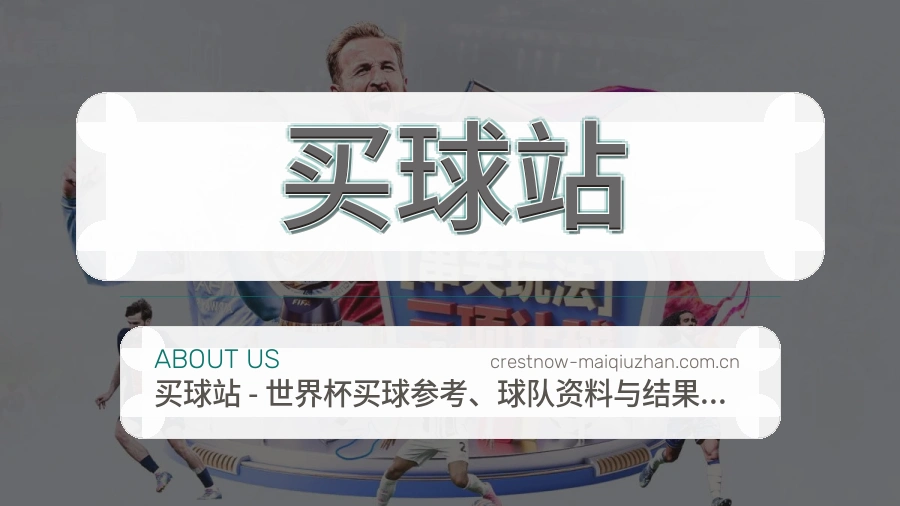 买球站关于我们品牌服务图片